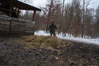 Zimowe dokarmianie na Pyrzycach