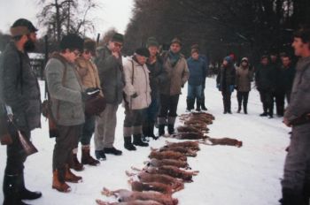 Kiedyś i u nas polowało się na zające...