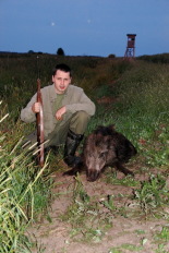 Marek Bartoszewicz z upolowanym dzikiem.15.06.2013