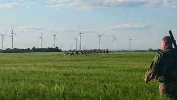 Zapowiada się że będzie trochę byków ryczało we wrześniu :-)